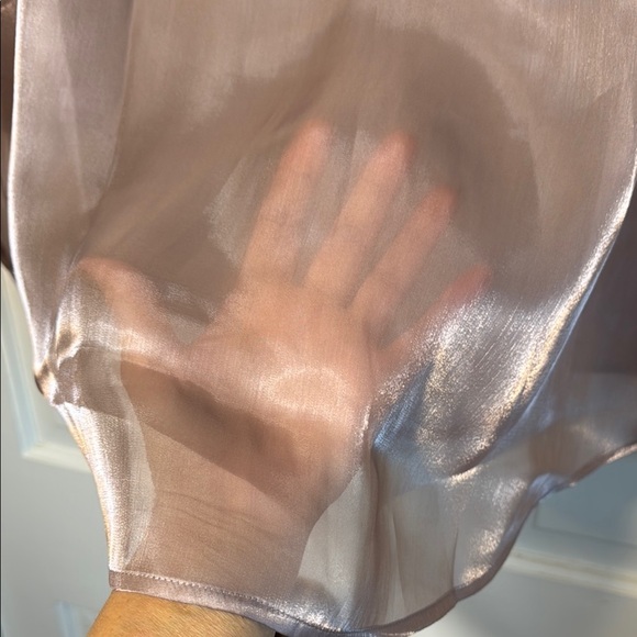 NWT Pistola Shimmering Organza Pink/Plum Button Front Blouse Semi-Sheer - Picture 4 of 15